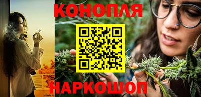 PSILOCYBIN Сланцы