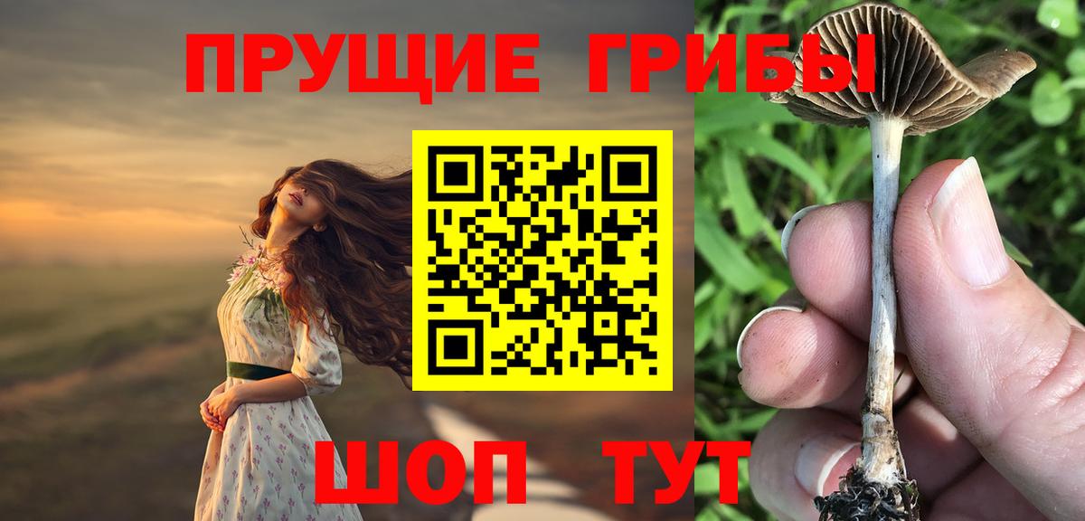 Псилоцибиновые грибы Magic Shrooms  Псилоцибиновые грибы Cubensis  Вход с VPN  Новосибирск 