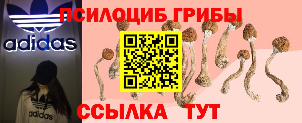 Псилоцибиновые грибы прущие грибы Новосибирск